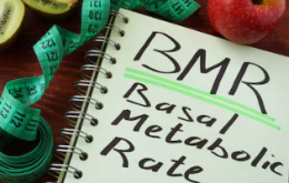 Basal-Metablic-Rate