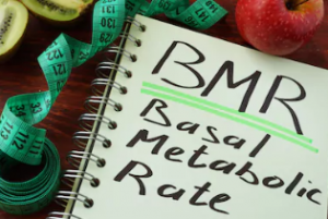 Basal-Metablic-Rate