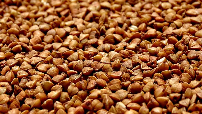 Lots-of-buckwheat-fruit