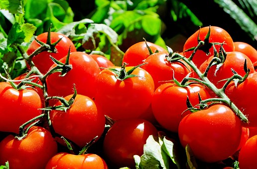 Lots-of-tomatoes